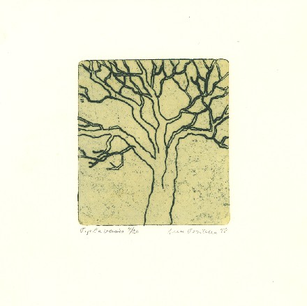 Tree IV